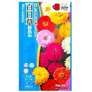 �y�^�L�C��c�z�S�����i�W�j�A�j�@F1 �h���[�������h�����i2ml�j�y��`�X�ցE��`�O�X�ւł̔����̂ݑ��������z�^�L�C�̎�/�Ԓd/���A/�v�����^�[/�Ԏ�/��q/�A��/�͔|/�K�[�f�j���O/�q���N