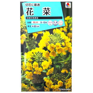 y^LCczԍ؁@si3mljy`XցE`OXւł̔̂ݑz^LC̎/؂/؂ԗp/Ԓd/Rei/v^[/Ԏ/q/A/nii/Aui/F/H