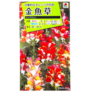 y^LCcz@ugi0.05mljy`XցE`OXւł̔̂ݑz^LC̎/؂/Ԓd/v^[/Rei/Ԏ/q/A/͔|/K[fjO//L