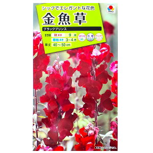 y^LCcz@ubNvXi0.05mljy`XցE`OXւł̔̂ݑz^LC̎/؂/Ԓd/v^[/Rei/Ԏ/q/A/͔|/K[fjO//