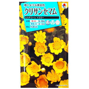 �y�^�L�C��c�z�N���T���Z�}���@�����`�R�[�� �C�G���[�i1ml�j�y��`�X�ցE��`�O�X�ւł̔����̂ݑ��������z�^�L�C�̎�/�Ԓd/���A/�v�����^�[/�Ԏ�/��q/�A��/�͔|/�K�[�f�j���O/�����/