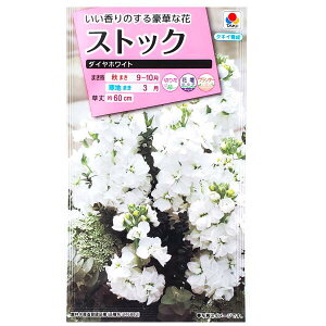 y^LCczXgbN@_CzCgi40jy`XցE`OXւł̔̂ݑz^LC̎/؂/Ԓd/Rei/v^[/Ԏ/q/A/AZCgE/Aui/t