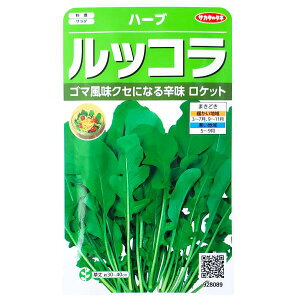 yTJ^̃^lzbRiPbgji2mljy`XցE`OXւł̔̂ݑz/n[u/Â//T_//C^A/r^~C/ƒ؉/q/K[fjO/