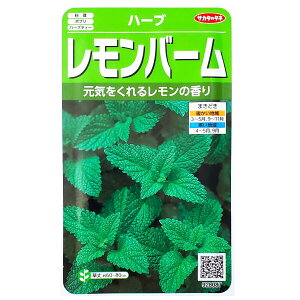 yTJ^̃^lzo[i0.9mljy`XցE`OXւł̔̂ݑz/|v/n[ueB[/n[u//ƒ؉/q/A/͔|/K[fjO//ZCE}n