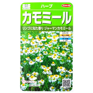 yTJ^̃^lzJ~[iW[}J~[ji0.9mljy`XցE`OXւł̔̂ݑz/|v/n[ueB[/n[u//g/ƒ؉/q/A/͔|/K[f