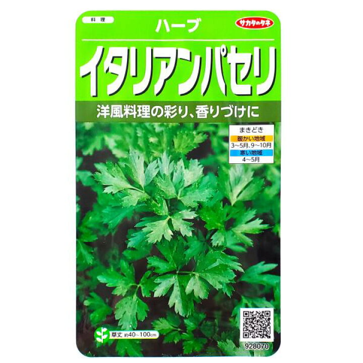 楽天市場 サカタのタネ イタリアンパセリ 1 8ml 定形郵便 定形外郵便での発送のみ送料無料 花壇 コンテナ プランター 料理 ハーブ 香り 洋風 キッチンガーデン 家庭菜園 種子 栽培 オランダセリ 耐寒性1 2年草 春まき 秋まき 採苗本数 およそ230本 G Top