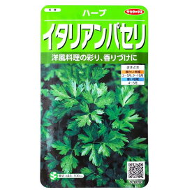 【サカタのタネ】イタリアンパセリ（1.8ml）【定形郵便・定形外郵便での発送のみ送料無料】花壇/コンテナ/プランター/料理/ハーブ/香り/洋風/キッチンガーデン/家庭菜園/種子/栽培/オランダセリ/耐寒性1〜2年草/春まき/秋まき/粒数目安：350粒/928070