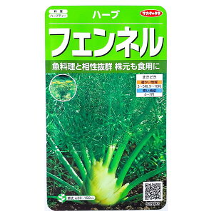 yTJ^̃^lztFli1.9mljy`XցE`OXւł̔̂ݑz/n[u/n[ueB[//T_//َq//ƒ؉/q/t[XtFl/EC