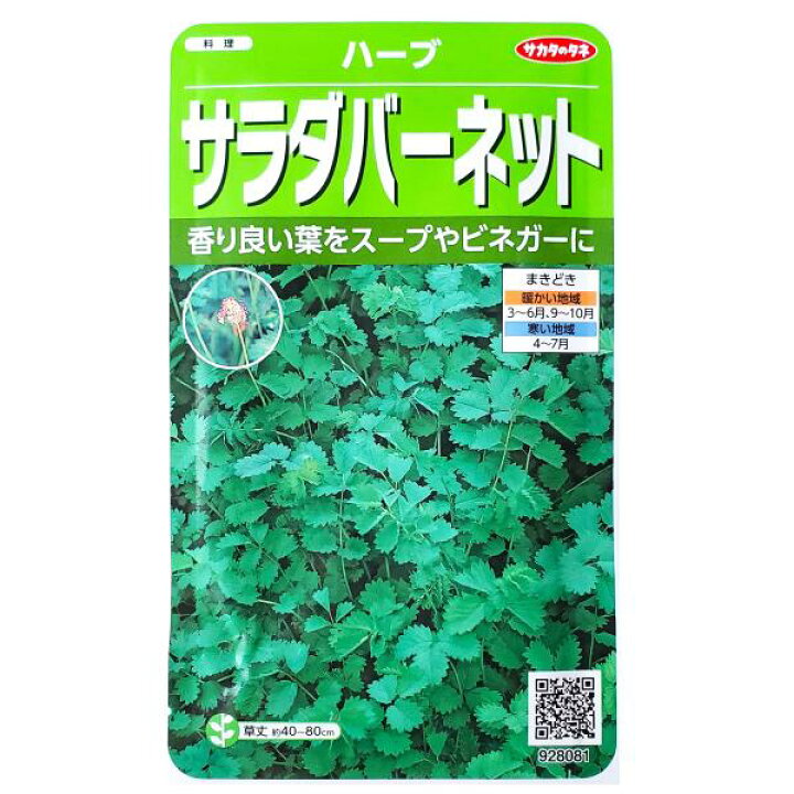 サカタのタネ サラダバーネット ビネガー スープ 定形郵便 1 9ml ハーブ 料理 定形外郵便での発送のみ送料無料