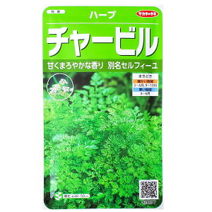 yTJ^̃^lz`[ri5.9mljy`XցE`OXւł̔̂ݑz/n[u/T_/X[v/pZ/tX///ƒ؉/q/K[fjO/ECLE