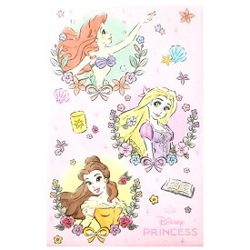 ディズニープリンセス★レギュラーポチ袋（同柄3枚入り）【定形郵便・定形外郵便での発送のみ送料無料】ディズニー/キャラクター/お年玉/ミニ/小さい/お正月/ぽち袋/メッセージ/お祝い/プチ/封筒/子供用/文房具/かわいい/サンスター文具/お年玉袋/女の子/ファンシー