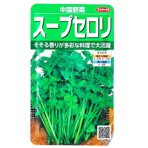 yTJ^̃^lzX[vZ@؁i3mljy`XցE`OXւ̔̂ݑzƒ؉/X[v/ʂ//q/؎/K[f//͔|/A/͔|/K[fjO/