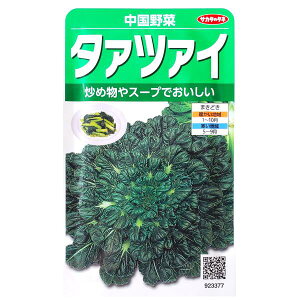 yTJ^̃^lz^@c@C@؁i7.5mljy`XցE`OXւ̔̂ݑzƒ؉/X[v/uߕ/~/JE/Je/r^~C//q/؎/A/͔|/