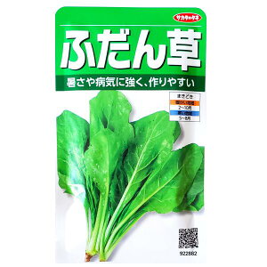 yTJ^̃^lzӂ񑐁i30mljy`XցE`OXւ̔̂ݑz/u/a/r^~A/~l/q/؎/K[f/A/͔|/K[fjO//t܂/Ă