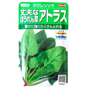 yTJ^̃^lzvȂق񑐁@AgXi25mljy`XցE`OXւ̔̂ݑzq/؎/K[f/A/͔|/K[fjO//ƒ؉/H܂/q/zE