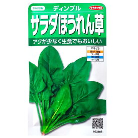 【サカタのタネ】サラダほうれん草　ディンプル（25ml）【定形郵便・定形外郵便の発送のみ送料無料】種子/野菜種/ガーデン/植物/栽培/ガーデニング/自宅で/家庭菜園/秋まき/ヒユ科/ホウレンソウ/粒数目安：750粒/923408
