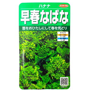 yTJ^̃^lztȂ΂ȁ@niii4.8mljy`XցE`OXւ̔̂ݑzr^~/~l//Ђ/q/؎//͔|/A/K[fjO/ƒ؉/t܂/H