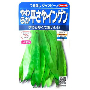 yiFL2025N10zyTJ^̃^lz炩CQ@Ȃ@Wr[mi26mljy`XցE`OXւ̔̂ݑzȂ/XWȂ//q/