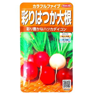 yTJ^̃^lzʂ͂卪@Jtt@Cui6mljy`XցE`OXւ̔̂ݑzT_/Ђ///q/A/͔|//t܂/Ă܂/Aui/nc