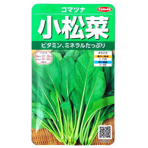 yTJ^̃^lz؁i10mljy`XցE`OXւ̔̂ݑzr^~/~l/S//Ђ/q/؎//͔|/A/K[fjO/ƒ؉/t܂/H܂/Ă