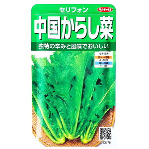 yTJ^̃^lz炵؁@ZtHi8mljy`XցE`OXւ̔̂ݑzЕ//q/؎//͔|/A/K[fjO/ƒ؉/t܂/H܂/Ă܂/Au