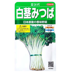 yTJ^̃^lzs݂΁i10mljy`XցE`OXւł̔̂ݑz///ƒ؉/Z/q/A/͔|/K[fjO//~co/ڈF2000/923082