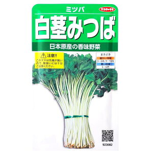 yiFL2025N10zyTJ^̃^lzs݂΁i10mljy`XցE`OXւł̔̂ݑz///ƒ؉/Z/q/A/͔|/K[fjO/