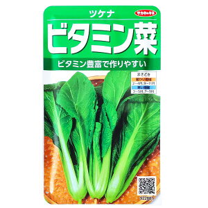 yTJ^̃^lzr^~؁@cPii10mljy`XցE`OXւ̔̂ݑzЂ/ϕ/u///؎//͔|/A/K[fjO/ƒ؉/t܂/Ă܂/H܂/