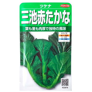 yTJ^̃^lzOrԂȁ@cPii7mljy`XցE`OXւ̔̂ݑzЂ//؎//͔|/A/K[fjO/ƒ؉/Ă܂/H܂/Aui/ڈ