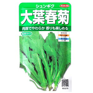 yTJ^̃^lztte@VMNi40mljy`XցE`OXւ̔̂ݑz畨/Ђ//q/A/͔|/K[fjO//t܂/Ă܂/H܂/LN/ڈ