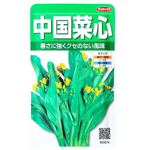 yTJ^̃^lzؐSi9mljy`XցE`OXւ̔̂ݑz/؎//͔|/A/K[fjO/ƒ؉/t܂/Ă܂/H܂/Aui/ڈF2200/923374