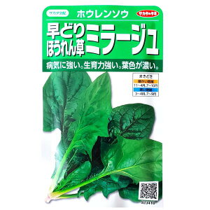 yTJ^̃^lzǂق񑐁@~[Wi25mljy`XցE`OXւ̔̂ݑzq/؎/K[f/A/͔|/K[fjO//ƒ؉/t܂/Ă܂/H܂/