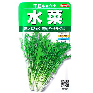 yiFL2025N10zyTJ^̃^lz؁@؃LEii10mljy`XցE`OXւ̔̂ݑzr^~/~l//畨/T_/Е/q/؎//K