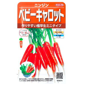 yTJ^̃^lzxr[Lbg@jWi4.5mljy`XցE`OXւł̔̂ݑz///T_/ƒ؉/Z/q/A/͔|/K[fjO/v^[/