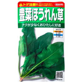【サカタのタネ】豊葉ほうれん草（50ml）【定形郵便・定形外郵便の発送のみ送料無料】種子/野菜種/ガーデン/植物/栽培/ガーデニング/自宅で/家庭菜園/夏まき/秋まき/ヒユ科/ホウレンソウ/粒数目安：1200粒/923470