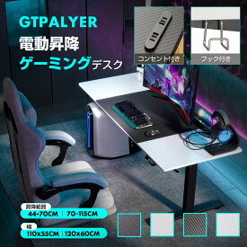 ＼見逃し厳禁！驚きの激安価格×LINE登録で5％オフ／GTPLAYER ゲーミングデスク 昇降デスク 電動 デスク 机 つくえ パソコンデスク オフィスデスク 昇降 在宅 在宅ワーク 昇降式 昇降テーブル 昇降式デスク 幅120cm 奥行60cm 高さ調節 PCデスク スタンディングデスク