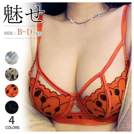 ノンパテッドブラ レース ブラジャー ショーツ セット シースルー 下着 レース ブラセット セクシー 下着 sexy ランジェリー ワイヤーブラジャー ランジェリー 上下セット レディース エレガントエロい