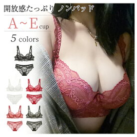 ブラジャーショーツ セット 総レース シースルー 下着セット 下着 セクシー ランジェリー 下着 透け透け レディース 女性 ブラジャー ノーパッドBCDEカップ 即納