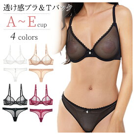 ブラジャー ショーツ セット Tバック ショーツ レディース 女性 シースルー ブラ セット ワイヤー付き 3/4カップ 4色 ノーパッド セクシー ランジェリー 下着 透け透け