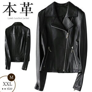 U[WPbg tH~ Wbp[ ubN oCN _uC_[X C_[XWPbg vW fB[X {v U[ N[n AE^[