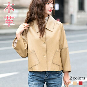 XeJ[R[g fB[X  V[g R[g U[WPbg {v V[g AE^[