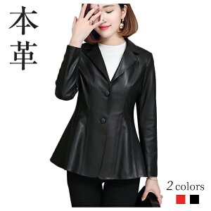 e[[hWPbg fB[X U[ {v U[WPbg V[g AE^[ {^ VGbg ubN bh