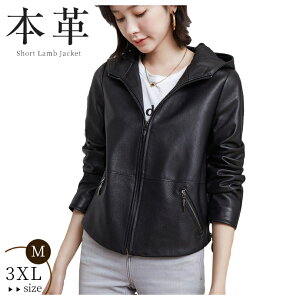 {vWPbg U[ C_[XWPbg V[g H ~ R[g WPbg rv t[ht JWA VGbg fC[  H~ U[R[g fB[X