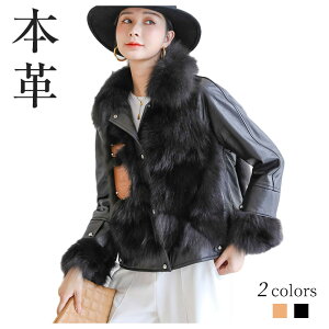 U[WPbg vW  AE^[ H ~ {v U[ vW C_[XWPbg єR[g tHbNXt@[  U[ R[g {v V[g