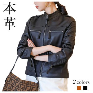 fB[X WPbg {v U[ C_[XWPbg e[[h WPbg  V[gWPbg  VGbg VO u] vW t@bV