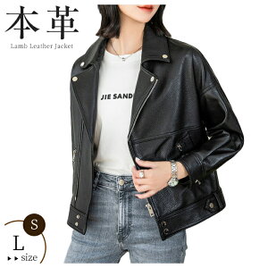 rvR[g {v C_[XWPbg vW WPbg U[ V[g  Wbp[ JWA  {v rv t@bV R[g 