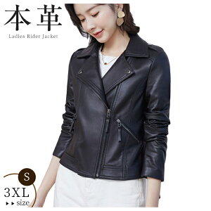 {vR[g rv WPbg U[R[g  AE^[ V[g U[ ȓ t H ~ R[g C_[X vu] X[c  X vW