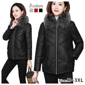 U[ _E R[g fB[X tHbNXt@[ V[g t@[ U[ R[g U[ ~ AEgEGA 傫TCY H~ g At@[ R[g  Wbp[J