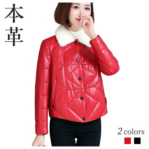 {v U[ _EWPbg V[g R[g fB[X ݃{A _EWPbg U[ V[g R[g