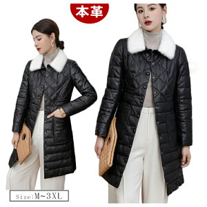 fB[X_ER[g U[R[g {v U[ rvR[g _ER[g  ~h X ~ ~Nt@[ _E R[g  h 